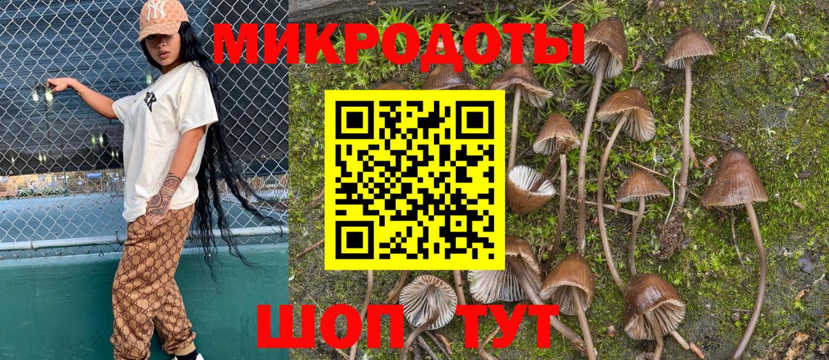 Тольятти  Псилоцибиновые грибы Magic Shrooms  Вход с VPN 