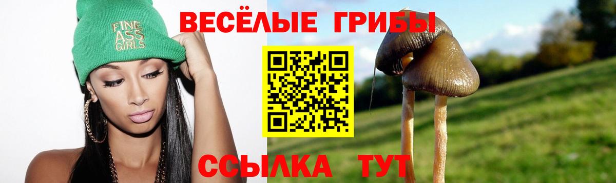 Галлюциногенные грибы мухоморы Тольятти