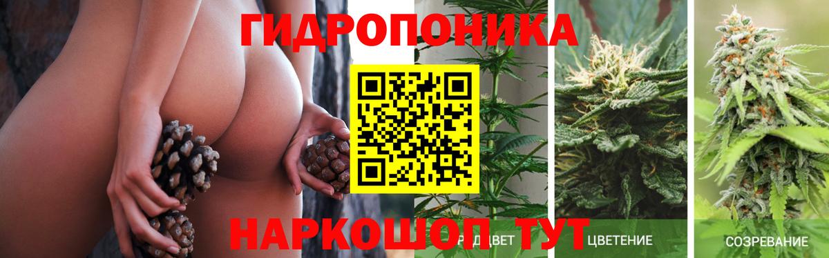 МАРИХУАНА марихуана Тольятти